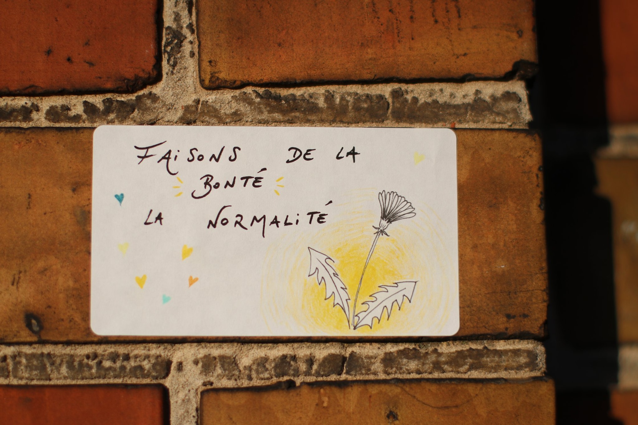 bonté